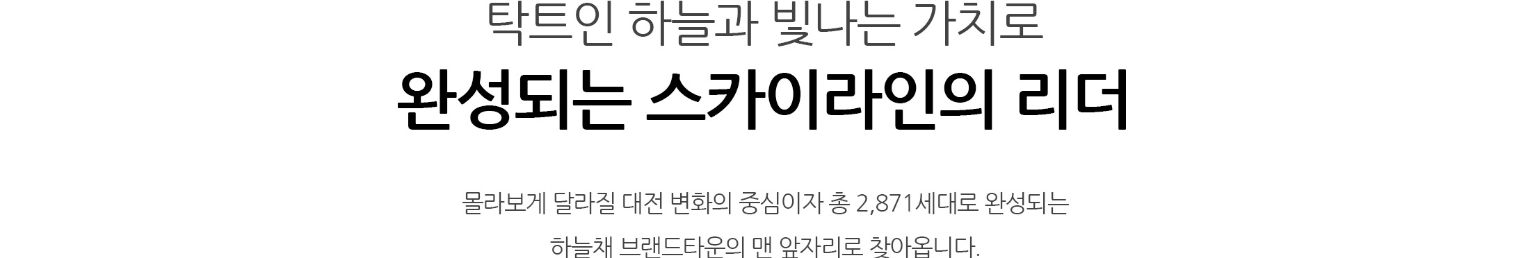 대전 하늘채 루시에르만의 명품 입지안내